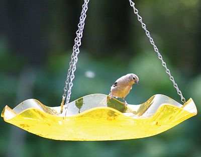 Acrylic Yellow Swirl Hanging Garden Bird Bath