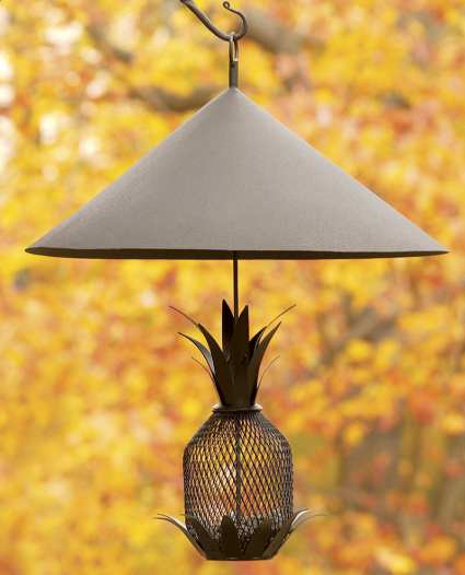 Beautiful Bird Feeders