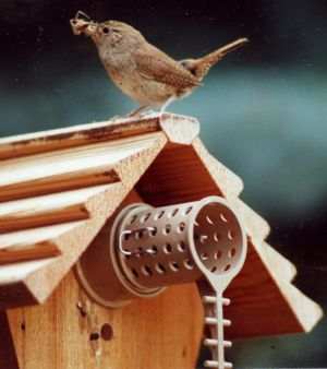 Bird Guardian Screw-On Twin Pack