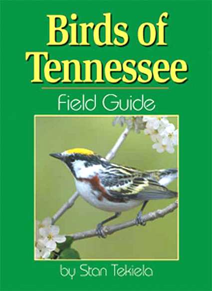birds of tennessee field guide tennessee bird birds of tennessee field guide tennessee bird