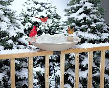 20" EZ Deck Tilt & Clean Heated Bird Bath