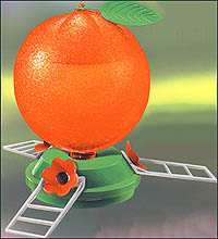 Artline Orange Oriole Feeder 40 oz Tri-Pack