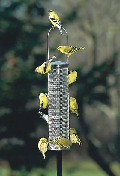 Aspects Brushed Nickel Nyjer Mesh Feeder Medium