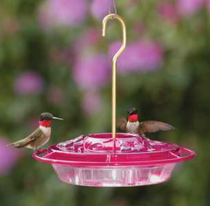 Aspects Little Fancy Fushia Hummingbird Feeder 8oz