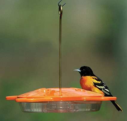 Aspects Oriole Feeder 16oz.