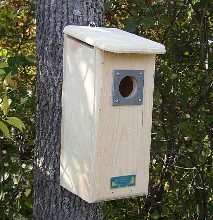 Conservation Three Woodpeckers House