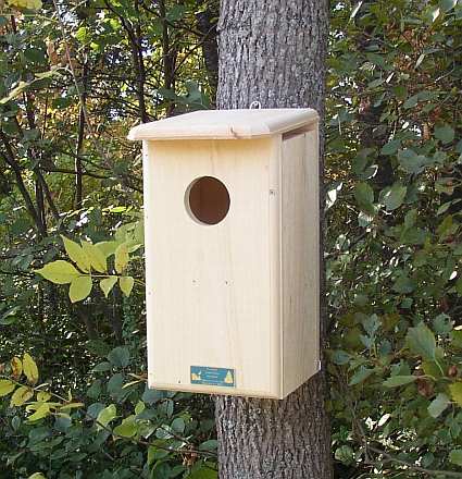 Conservation Kestrel House