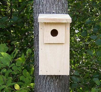 Conservation Birder's Dozen Eastern Bluebird Boxes