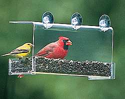 Cardinal Classic Window Feeder