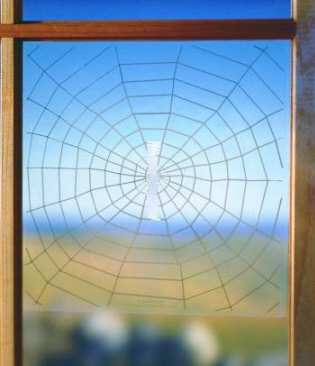 Warning Web Window Collision Decals 6-Pack