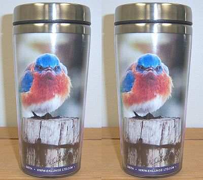 Mad Bluebird Thermal Stainless Travel Mug Set of 2