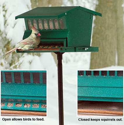 Absolute Squirrel Proof Bird Feeder