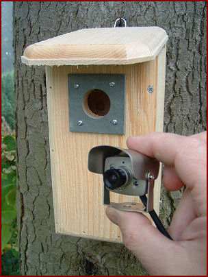 Backyard Birdhouse w/Hawk Eye Video Camera