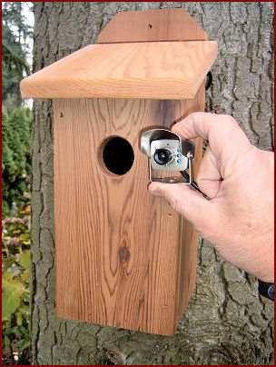 Bird Houses  Sale on Hawk Eye Nature Video Camera  Birdhouse Spy Cam For Viewing Birds And