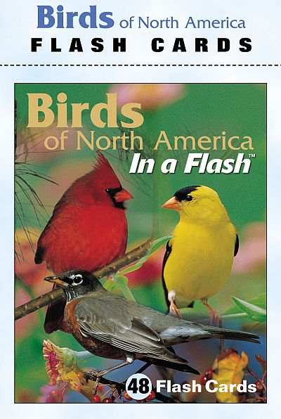 Bird Flash Cards