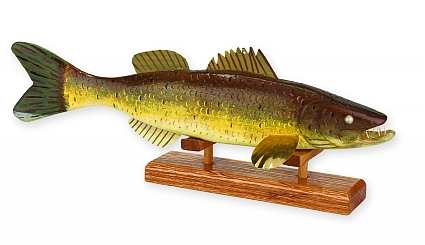 Fish Of Minnesota
