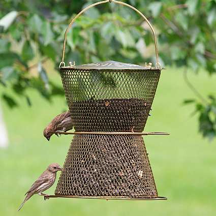 No/No Bronze Hourglass Feeder