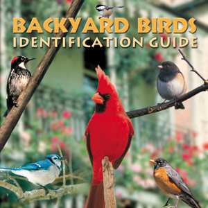 Bird Identification Key