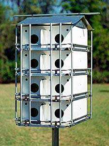 Coates Purple Martin House Predator Guard Kit