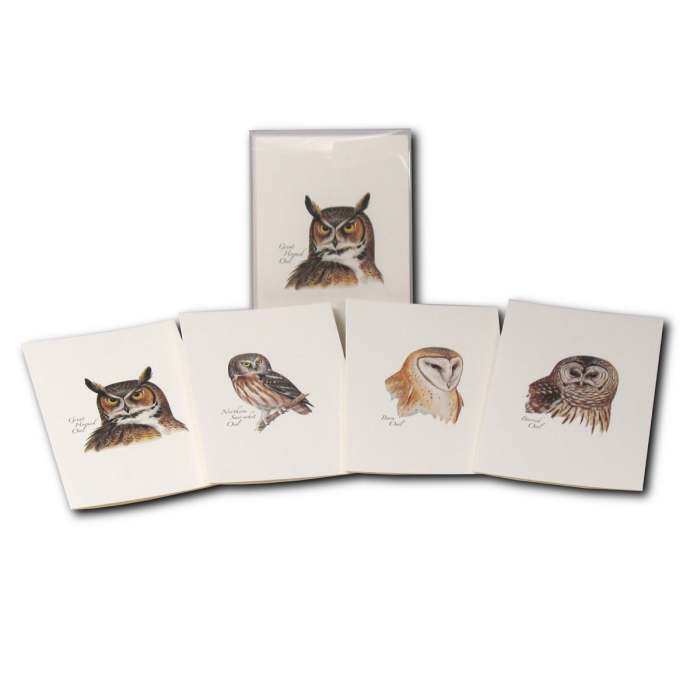 Boxed Notecard Assortment Peterson Owl Set of 8