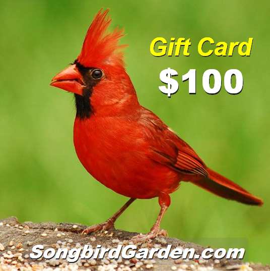 Songbird Garden Gift Card $100