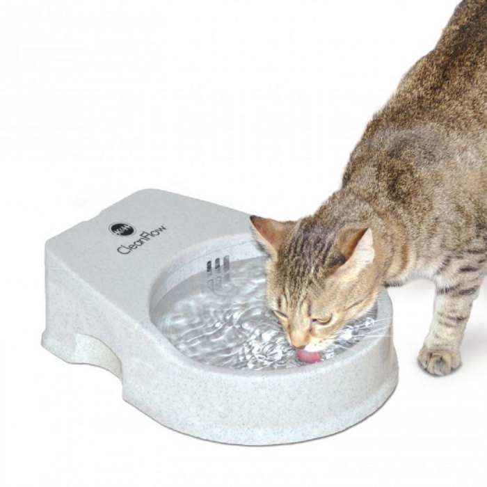 CleanFlow Water Filter Bowl for Cats