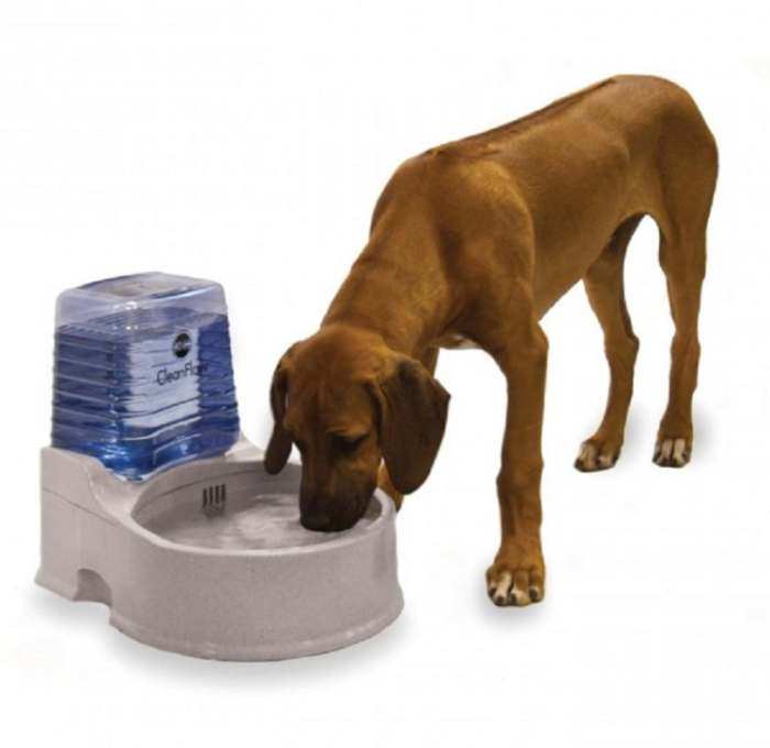 CleanFlow Water Filter Bowl for Dogs Large