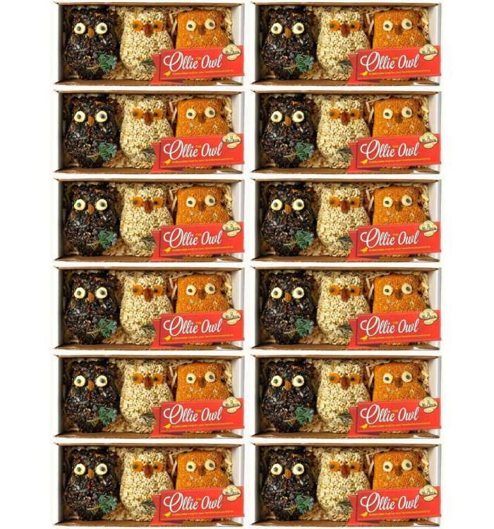 Ollie the Owl Bird Seed Ornament Gift Box 12/Pack