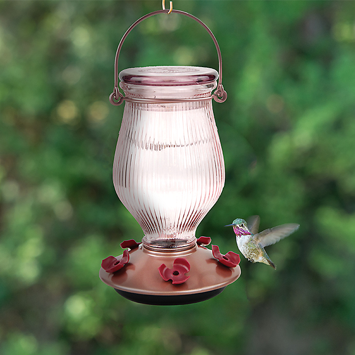 Rose Gold Top-Fill Glass Hummingbird Feeder