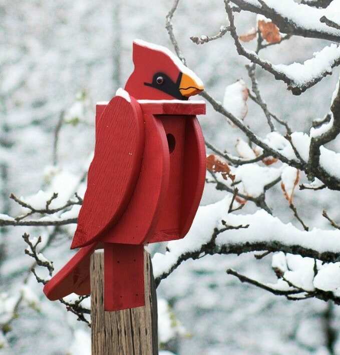 Amish Handcrafted Shaped Birdhouse Cardinal