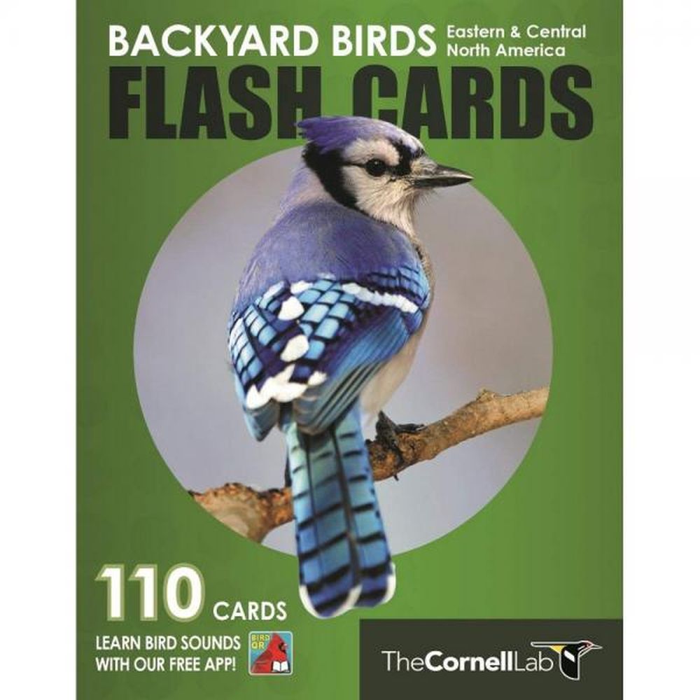 Backyard Birds Flash Cards Eastern & Central N.A.