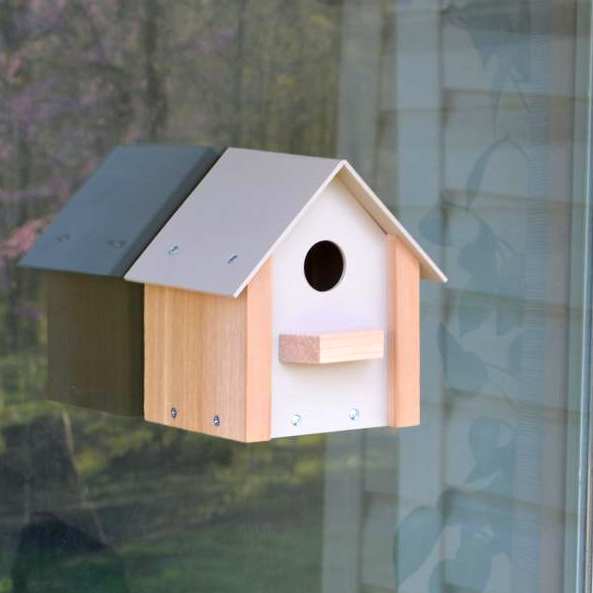 Songbird Window Bird House