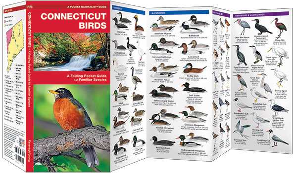Connecticut Birds Pocket Naturalist Guide