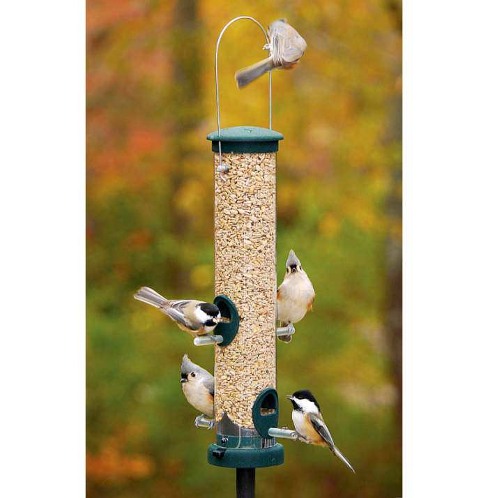 Aspects Quick Clean Spruce Seed Tube Feeder Medium