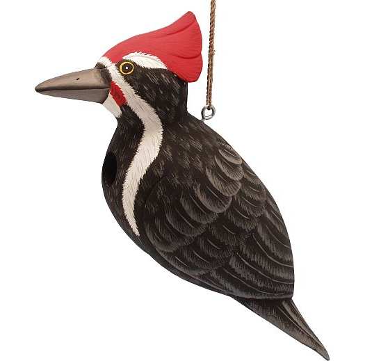 For The Birds Pileated Woodpecker Bird House