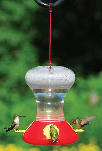 Fliteline Hummingbird Feeder 30 oz. Twin Pack