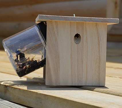 Carpenter Bee Trap Hanging Slanted Jar