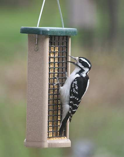 Second Nature Double Cake Suet Feeder
