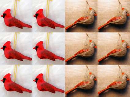 Audubon Cardinal Male & Female Ornament 12/PK