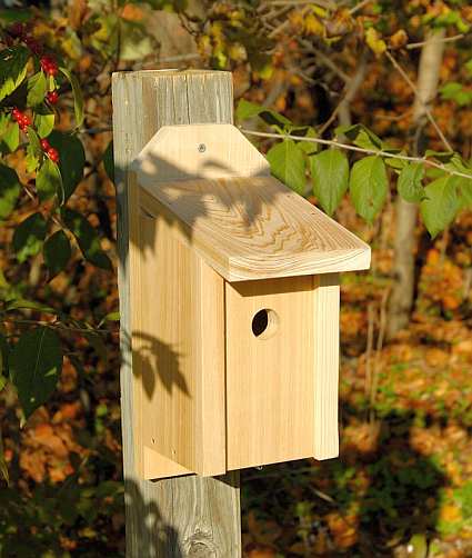 Cypress Joy Box For Wrens, Titmice and Nuthatches