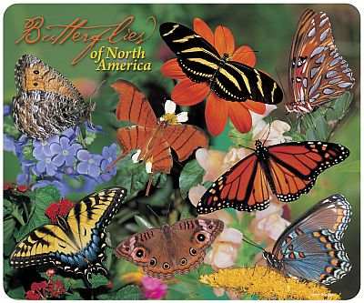 Butterflies of North America Mouse Pad