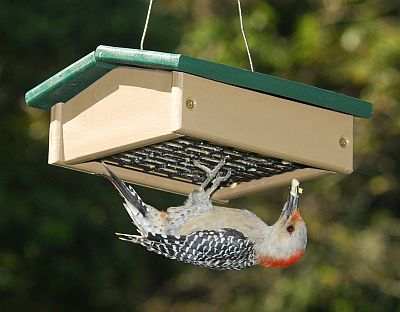 Rubicon Recycled Upside Down Suet Feeder