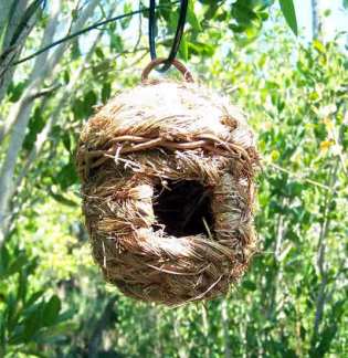 Roosting Pocket - Brown Acorn Set of 12