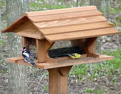 cedar bird feeder plans » woodworktips