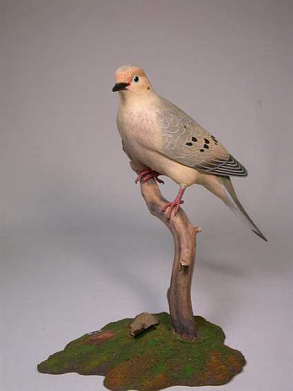 mourning dove stuffed animal