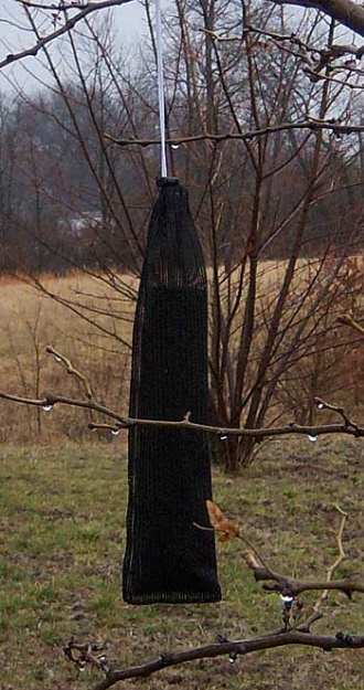 Finch Magic Jumbo Thistle Sack 18" 12/Pack