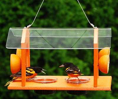 Grand Slam Recycled Plastic Oriole Feeder