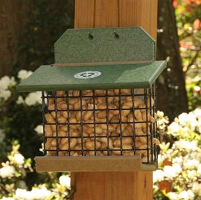 Rubicon Recycled Squirrel Feeder Hunter Driftwood