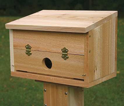 Cedar Winter Roosting Box