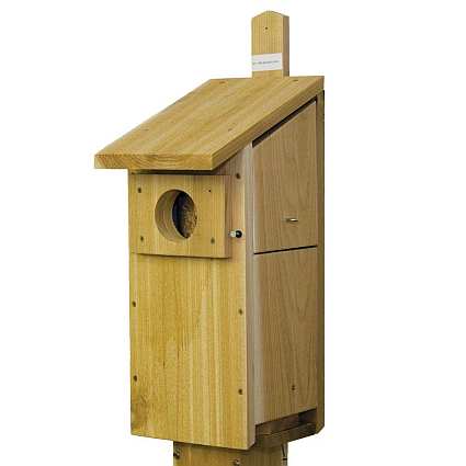 Screech Owl/Kestrel Nest Box